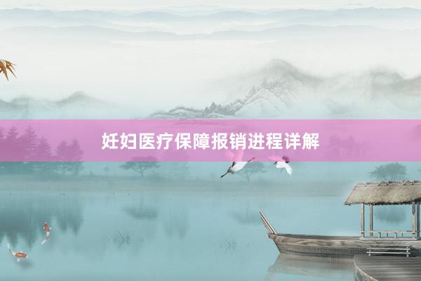 妊妇医疗保障报销进程详解