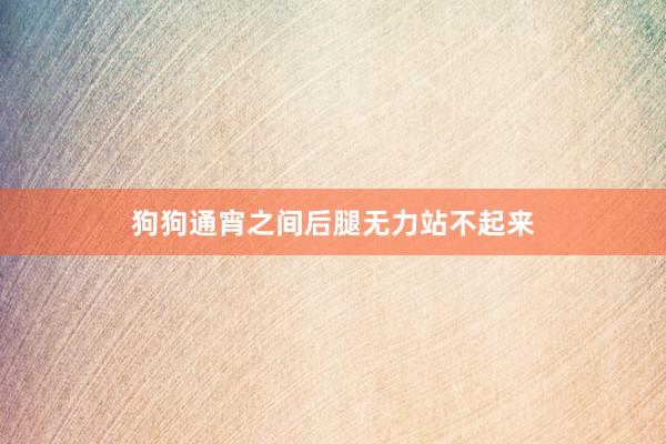 狗狗通宵之间后腿无力站不起来