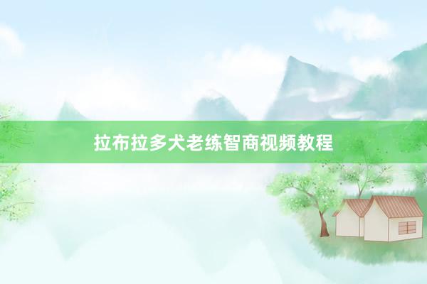 拉布拉多犬老练智商视频教程